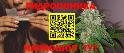 гидропоника Шелехов