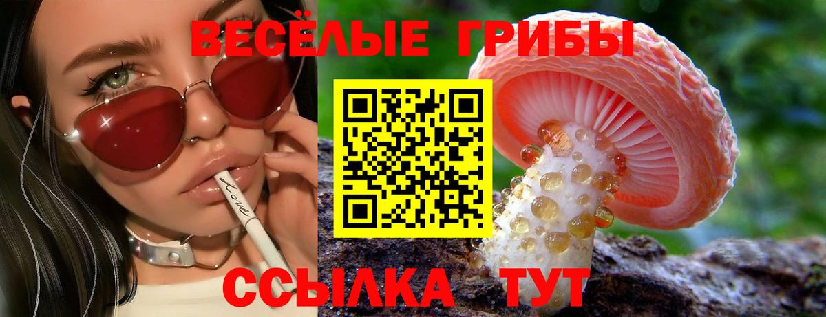 Самара  Псилоцибиновые грибы мухоморы  Вход с VPN 